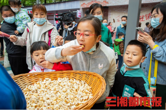 衡阳进步萌宠乐园探秘，位置、特色与体验之旅