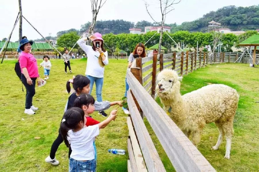 枣庄青檀府萌宠乐园，门票背后的奇幻世界之旅