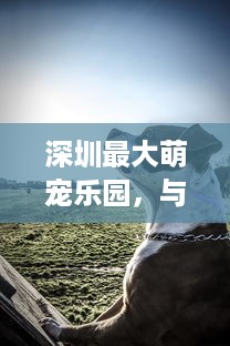 独山县萌宠乐园门票，探索与体验