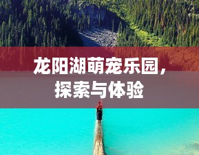 龙阳湖萌宠乐园，探索与体验