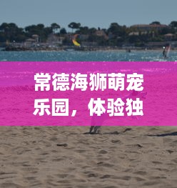 常德海狮萌宠乐园，体验独特的海洋魅力