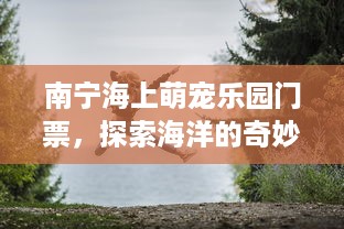 南宁海上萌宠乐园门票，探索海洋的奇妙世界