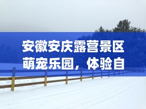 安徽安庆露营景区萌宠乐园，体验自然与动物的和谐共处