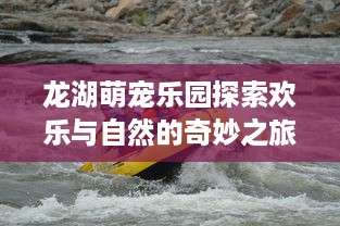 龙湖萌宠乐园探索欢乐与自然的奇妙之旅