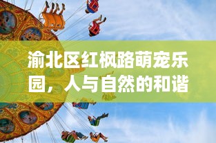 渝北区红枫路萌宠乐园，人与自然的和谐乐园