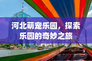 河北萌宠乐园，探索乐园的奇妙之旅