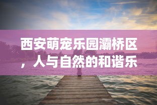 西安萌宠乐园灞桥区，人与自然的和谐乐园