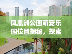 凤凰洲公园萌宠乐园位置揭秘，探索城市中的自然与和谐之乐