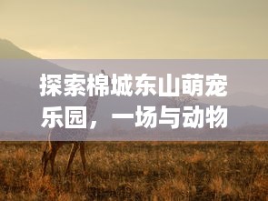 探索棉城东山萌宠乐园，一场与动物的亲密邂逅