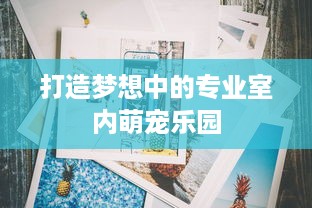 打造梦想中的专业室内萌宠乐园