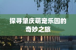 探寻肇庆萌宠乐园的奇妙之旅