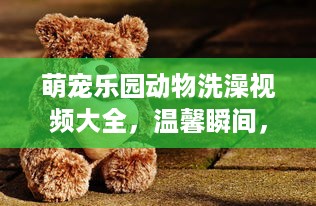 萌宠乐园动物洗澡视频大全，温馨瞬间，见证人与自然的和谐共生