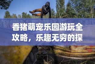 香猪萌宠乐园游玩全攻略，乐趣无穷的探险之旅