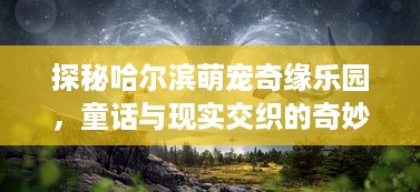 探秘哈尔滨萌宠奇缘乐园，童话与现实交织的奇妙之旅