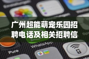 广州超能萌宠乐园招聘电话及相关招聘信息详解