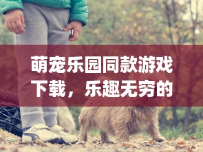 萌宠乐园同款游戏下载，乐趣无穷的宠物养成之旅