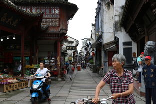 探索神秘之地，天台萌宠乐园的入口攻略