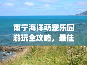 南宁海洋萌宠乐园游玩全攻略，最佳游玩时间及相关细节