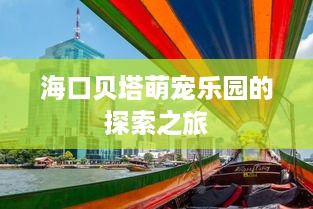 海口贝塔萌宠乐园的探索之旅