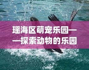 瑶海区萌宠乐园——探索动物的乐园，感受自然的和谐