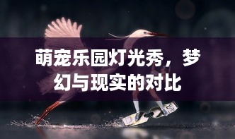 萌宠乐园灯光秀，梦幻与现实的对比