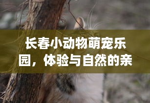 长春小动物萌宠乐园，体验与自然的亲密接触