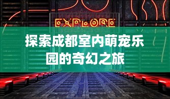 探索成都室内萌宠乐园的奇幻之旅