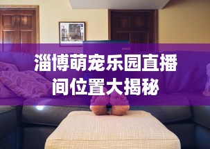 淄博萌宠乐园直播间位置大揭秘