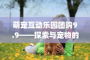 萌宠互动乐园团购9.9——探索与宠物的欢乐时光