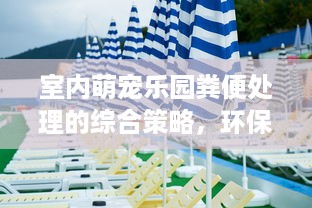 室内萌宠乐园粪便处理的综合策略，环保与健康并重的实践