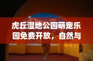 虎丘湿地公园萌宠乐园免费开放，自然与快乐的和谐交融