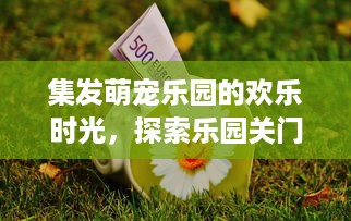 集发萌宠乐园的欢乐时光，探索乐园关门时间的奥秘