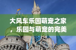 大风车乐园萌宠之家，乐园与萌宠的完美结合