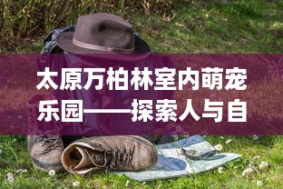 太原万柏林室内萌宠乐园——探索人与自然的和谐共生之地