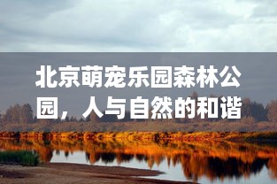 北京萌宠乐园森林公园，人与自然的和谐乐章