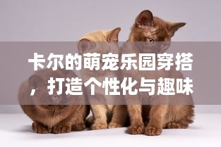 卡尔的萌宠乐园穿搭，打造个性化与趣味并存的宠物时尚风潮