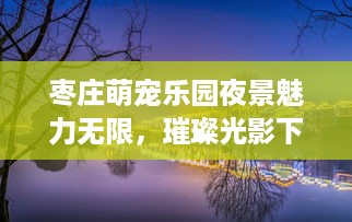 枣庄萌宠乐园夜景魅力无限，璀璨光影下的梦幻乐园