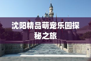 沈阳精品萌宠乐园探秘之旅