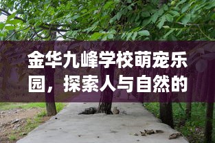 金华九峰学校萌宠乐园，探索人与自然的和谐共生