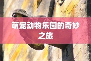 萌宠动物乐园的奇妙之旅