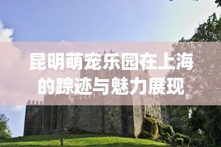 昆明萌宠乐园在上海的踪迹与魅力展现