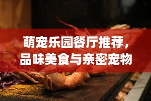 萌宠乐园餐厅推荐，品味美食与亲密宠物的完美融合