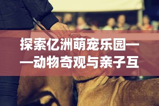 探索亿洲萌宠乐园——动物奇观与亲子互动的完美结合