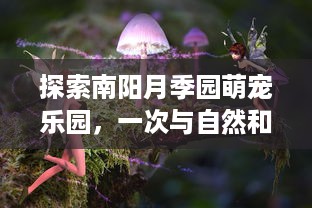 探索南阳月季园萌宠乐园，一次与自然和动物亲密接触的旅程