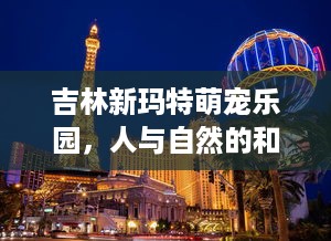 吉林新玛特萌宠乐园，人与自然的和谐乐园